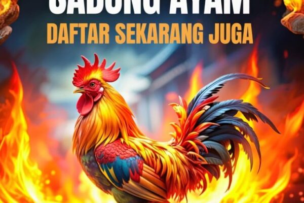 Mengenal Jenis Ayam